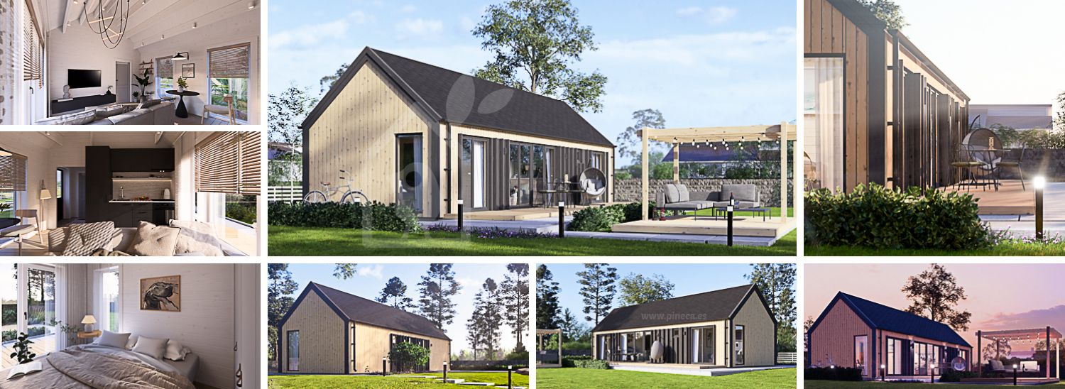 Houten huis ADALINE (Geïsoleerd, 34 mm + gevelbekleding), 50 m² visualisatie 1