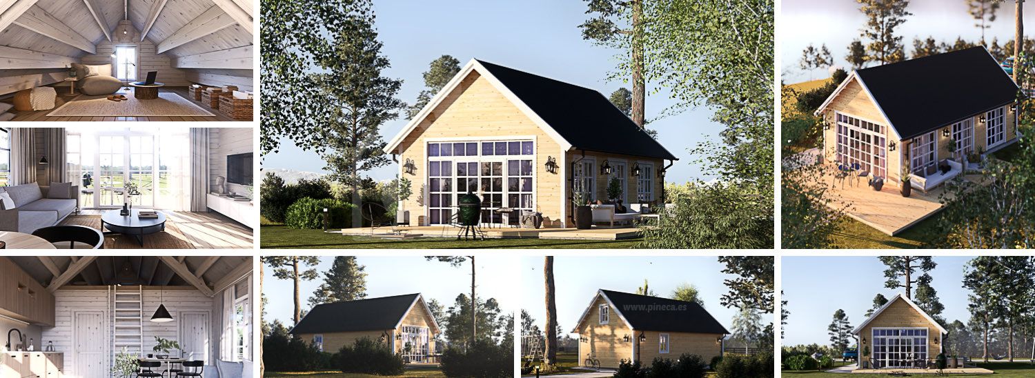 Houten huis ARIELLE (34 mm + gevelbekleding), 41 m² visualisatie 1